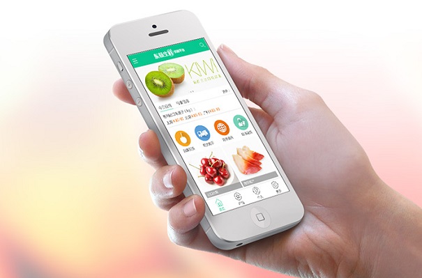 社区生鲜O2O平台运营方案:从零教你开发运营社区生鲜电商App