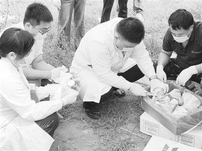 中牟县市场监管局工作人员对生鲜食品提取样本