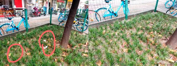 点击查看高清原图