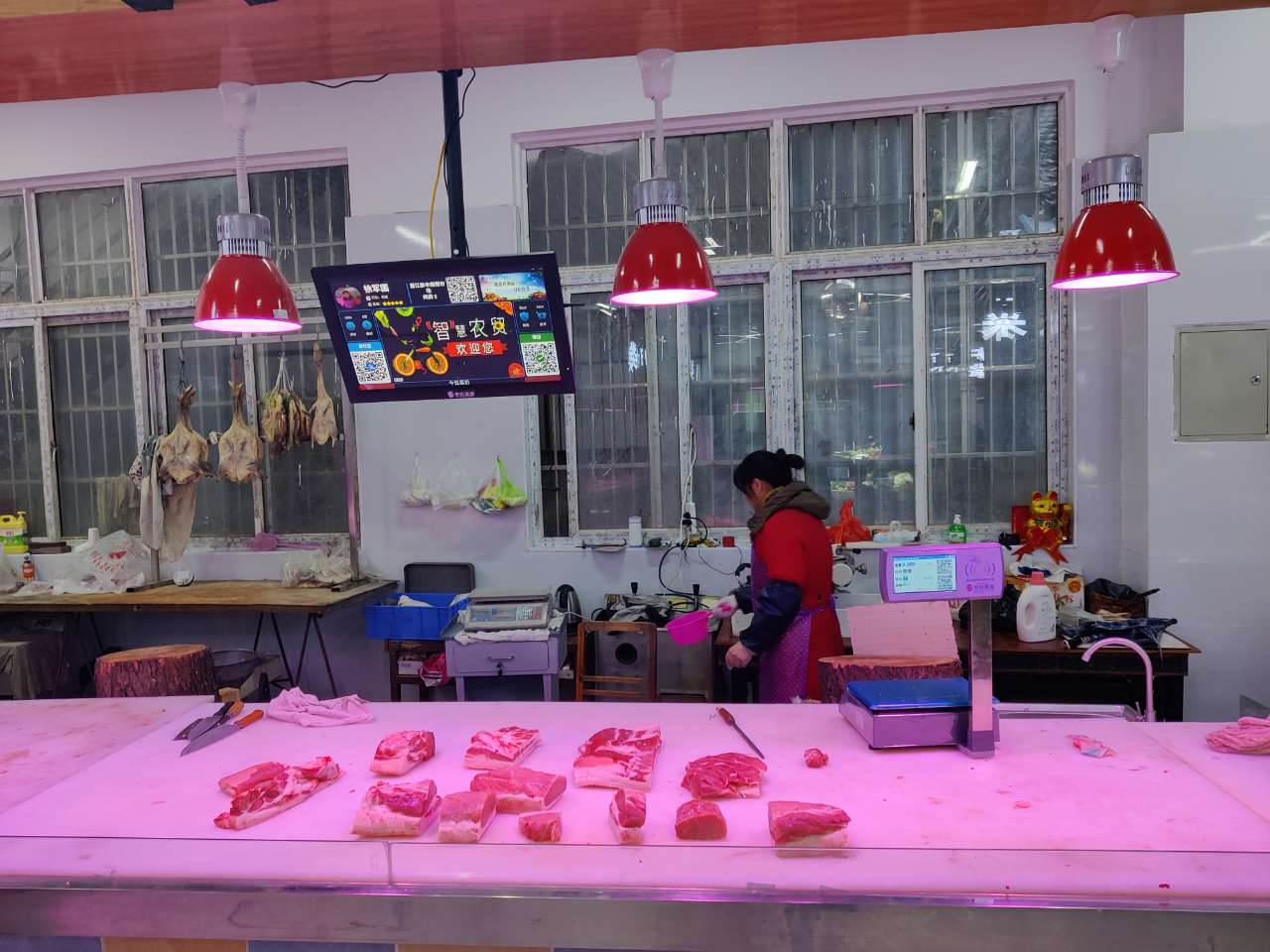 南荷5.jpg 南荷5.jpg